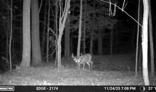 Photo #29 of Gully Tavern Rd, Rice, VA 9.0 acres