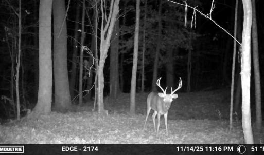 Photo #30 of Gully Tavern Rd, Rice, VA 9.0 acres