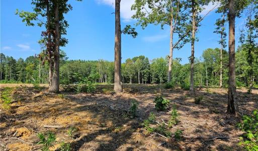 Photo #10 of Selma Rd, Amelia, VA 5.0 acres
