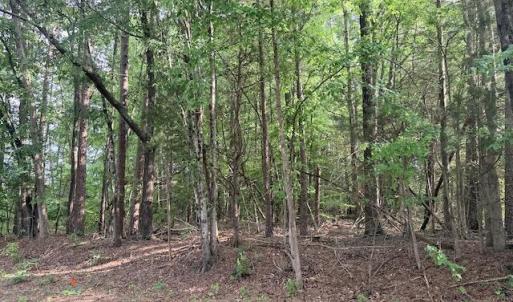 Photo #2 of Skipwtih Rd, Boydton, VA 1.0 acres