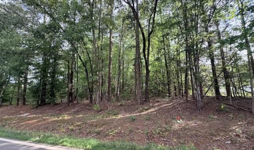Photo #3 of Skipwtih Rd, Boydton, VA 1.0 acres