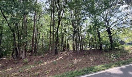 Photo #4 of Skipwtih Rd, Boydton, VA 1.0 acres