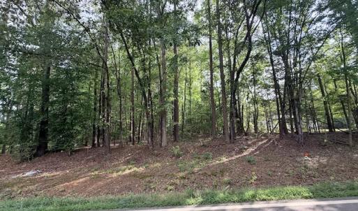 Photo #5 of Skipwtih Rd, Boydton, VA 1.0 acres