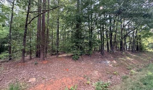 Photo #6 of Skipwtih Rd, Boydton, VA 1.0 acres