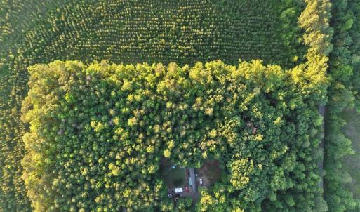 Photo #10 of Barton Rd, Green Bay, VA 5.4 acres