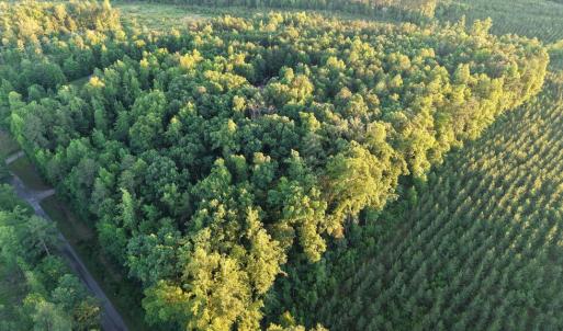 Photo #12 of Barton Rd, Green Bay, VA 5.4 acres