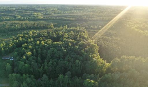 Photo #13 of Barton Rd, Green Bay, VA 5.4 acres