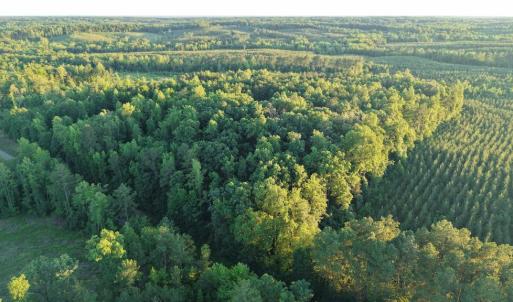 Photo #14 of Barton Rd, Green Bay, VA 5.4 acres