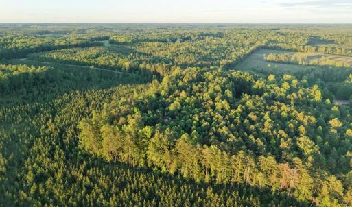 Photo #16 of Barton Rd, Green Bay, VA 5.4 acres