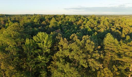 Photo #17 of Barton Rd, Green Bay, VA 5.4 acres