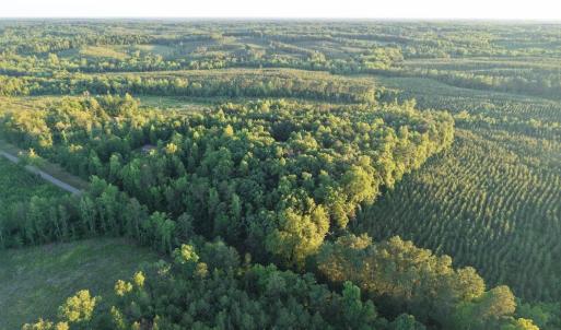 Photo #2 of Barton Rd, Green Bay, VA 5.4 acres