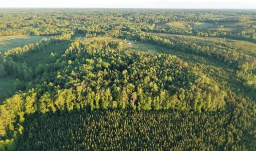 Photo #20 of Barton Rd, Green Bay, VA 5.4 acres