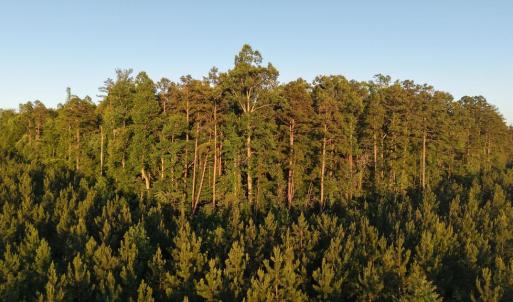 Photo #22 of Barton Rd, Green Bay, VA 5.4 acres