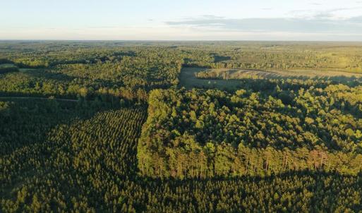 Photo #23 of Barton Rd, Green Bay, VA 5.4 acres