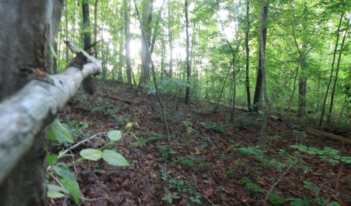 Photo #25 of Barton Rd, Green Bay, VA 5.4 acres