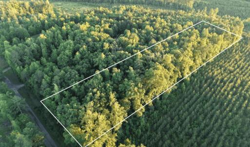 Photo #26 of Barton Rd, Green Bay, VA 5.4 acres