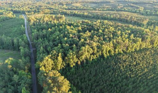 Photo #28 of Barton Rd, Green Bay, VA 5.4 acres