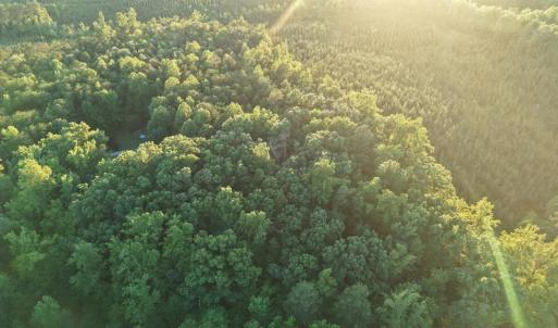 Photo #29 of Barton Rd, Green Bay, VA 5.4 acres
