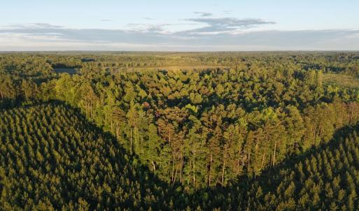 Photo #3 of Barton Rd, Green Bay, VA 5.4 acres