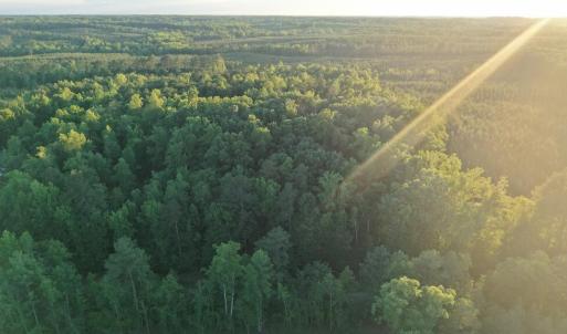 Photo #30 of Barton Rd, Green Bay, VA 5.4 acres