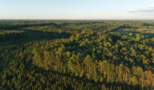 Photo #31 of Barton Rd, Green Bay, VA 5.4 acres