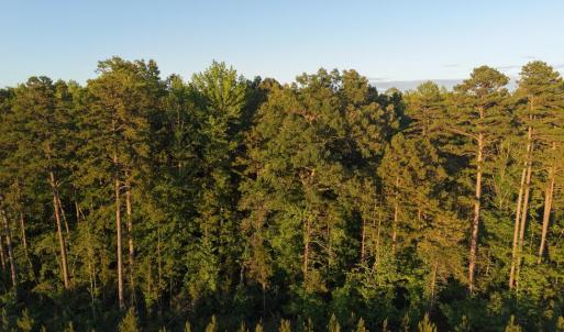 Photo #32 of Barton Rd, Green Bay, VA 5.4 acres