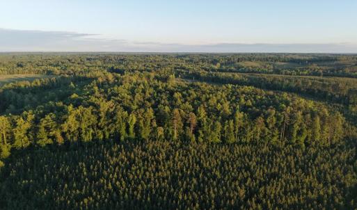 Photo #34 of Barton Rd, Green Bay, VA 5.4 acres