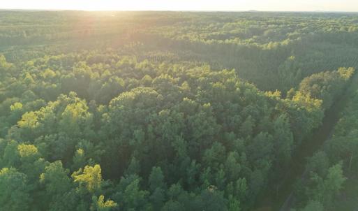 Photo #35 of Barton Rd, Green Bay, VA 5.4 acres