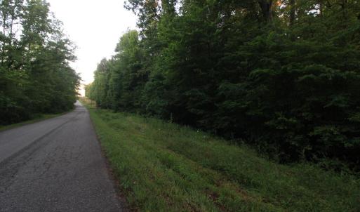 Photo #39 of Barton Rd, Green Bay, VA 5.4 acres