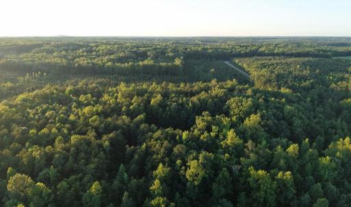 Photo #4 of Barton Rd, Green Bay, VA 5.4 acres