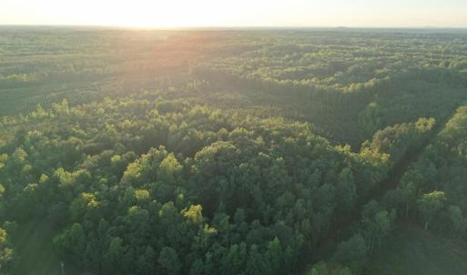 Photo #5 of Barton Rd, Green Bay, VA 5.4 acres