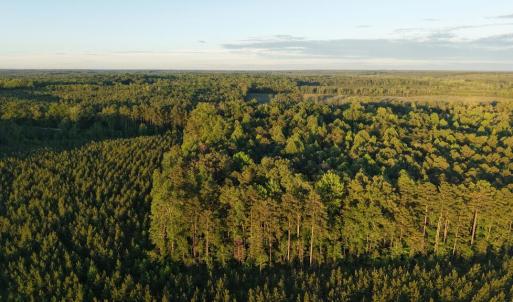 Photo #6 of Barton Rd, Green Bay, VA 5.4 acres