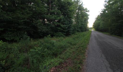 Photo #7 of Barton Rd, Green Bay, VA 5.4 acres