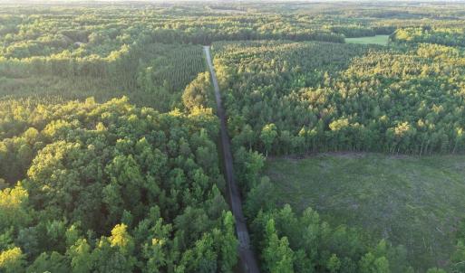Photo #9 of Barton Rd, Green Bay, VA 5.4 acres