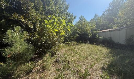 Photo #10 of 2362 Dixie Hill Rd, Buckingham, VA 6.1 acres
