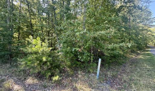 Photo #2 of 2362 Dixie Hill Rd, Buckingham, VA 6.1 acres