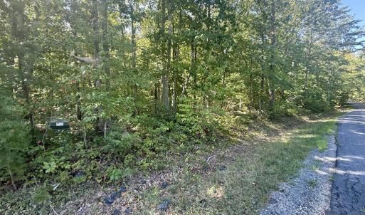 Photo #4 of 2362 Dixie Hill Rd, Buckingham, VA 6.1 acres