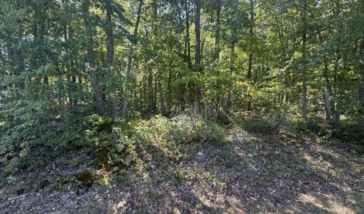Photo #6 of 2362 Dixie Hill Rd, Buckingham, VA 6.1 acres