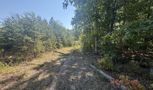 Photo #7 of 2362 Dixie Hill Rd, Buckingham, VA 6.1 acres