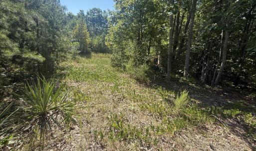 Photo #9 of 2362 Dixie Hill Rd, Buckingham, VA 6.1 acres