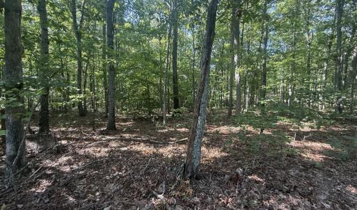 Photo #2 of Dixie Hill Rd, Buckingham, VA 2.6 acres