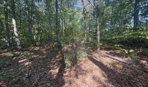 Photo #3 of Dixie Hill Rd, Buckingham, VA 2.6 acres