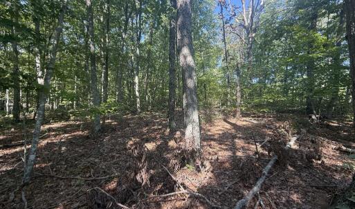 Photo #4 of Dixie Hill Rd, Buckingham, VA 2.6 acres