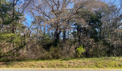 Photo #2 of Lot 5 HIDEAWAY COVE RD, JAMESVILLE, VA 1.2 acres