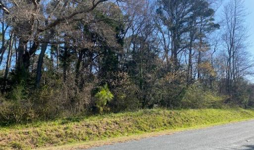 Photo #3 of Lot 5 HIDEAWAY COVE RD, JAMESVILLE, VA 1.2 acres