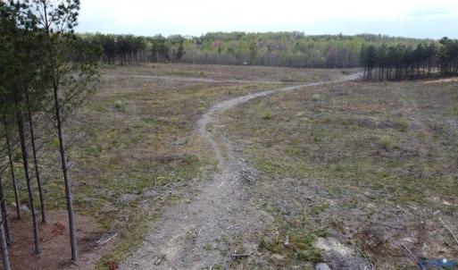 Photo #3 of Prince Edward Hwy, Prince Edward, VA 20.6 acres