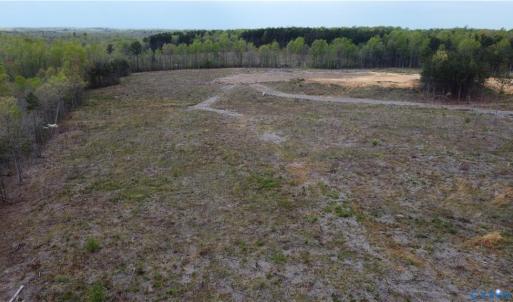 Photo #5 of Prince Edward Hwy, Prince Edward, VA 20.6 acres