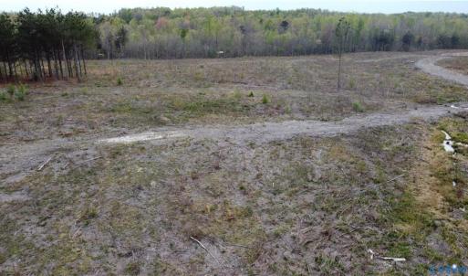 Photo #6 of Prince Edward Hwy, Prince Edward, VA 20.6 acres