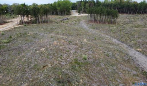 Photo #9 of Prince Edward Hwy, Prince Edward, VA 20.6 acres
