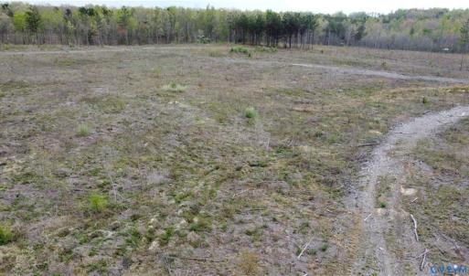 Photo #4 of Prince Edward Hwy, Prince Edward, VA 20.6 acres